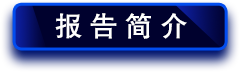 報(bào)告簡(jiǎn)介